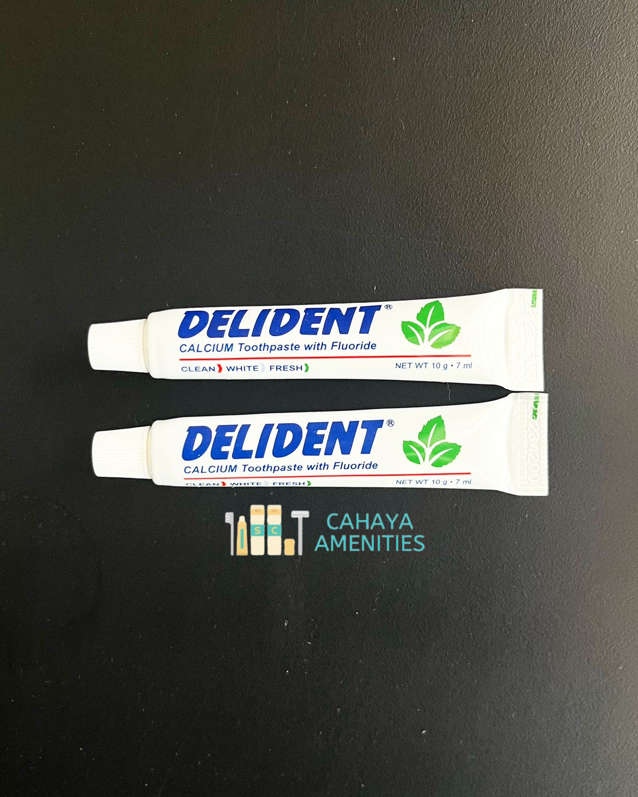 Delident 10gr